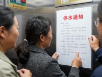双流区今天又出了啥新鲜事？每日双流区动态一分钟看完