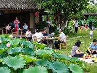 双流区综合生活资讯怎么查，办事交通周末玩一篇讲透