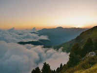 双流区每日动态汇总｜成都本地人最该盯的周边消息都在这里