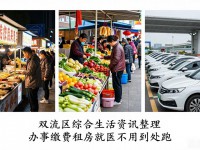 双流区综合生活资讯整理 办事缴费租房就医不用到处跑