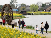 双流区办事去哪、周末怎么安排？本地人给你整理好了